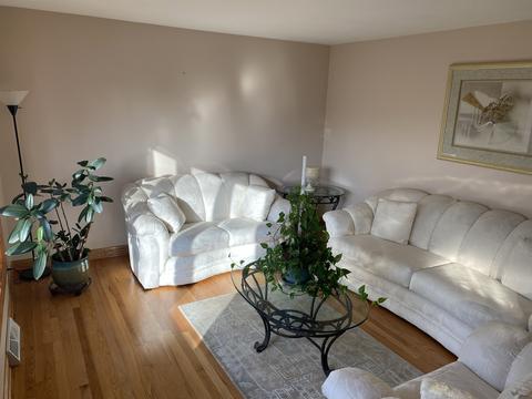 5164 Locust St, Hillside, IL 60162 photo 4