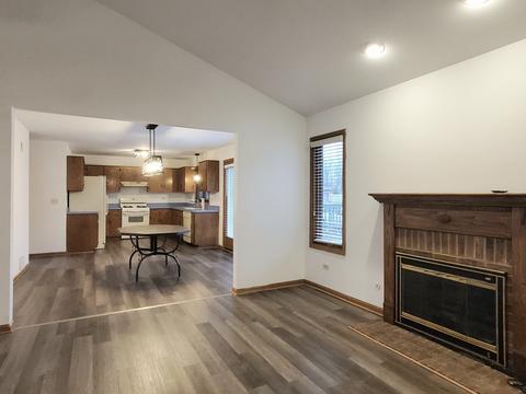 19212 Weber Rd, Mokena, IL 60448 photo 6