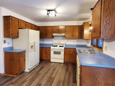 19212 Weber Rd, Mokena, IL 60448 photo 2