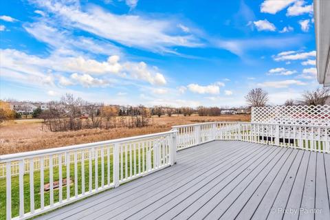 1013 Bentley Ln, Bartlett, IL 60103 photo 19