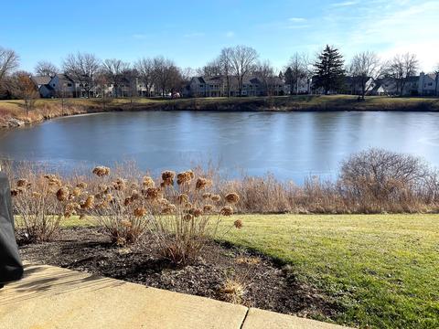 1602 Warwick Ct #A1, Wheeling, IL 60090 photo 11