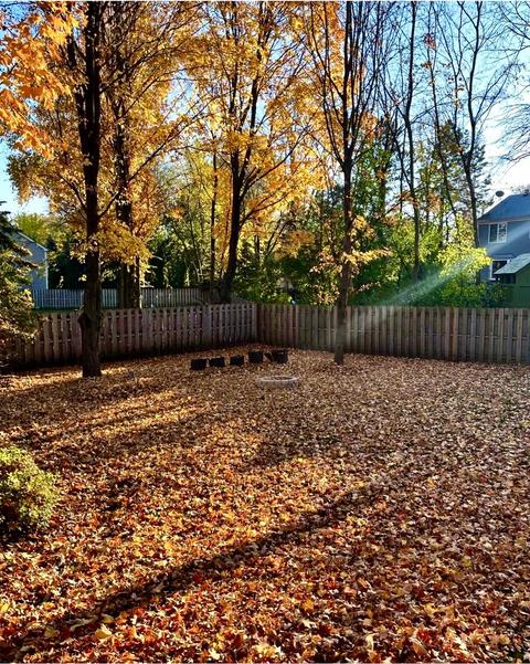 110 S Oakleaf Rd, Algonquin, IL 60102 photo 60