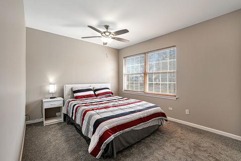 720 Concord Ct, Algonquin, IL 60102 photo 17