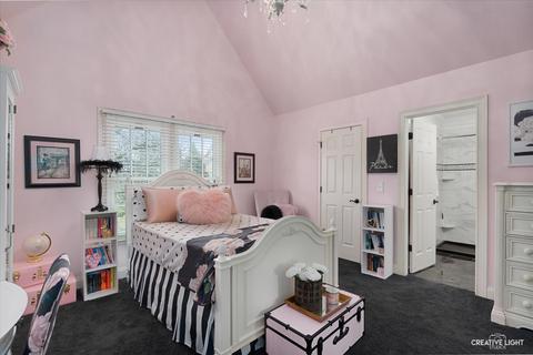 4455 Esquire Cir, Naperville, IL 60564 photo 25