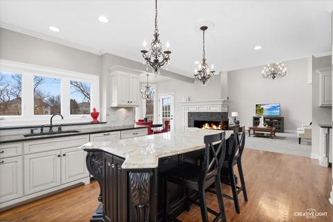 4455 Esquire Cir, Naperville, IL 60564 photo 12