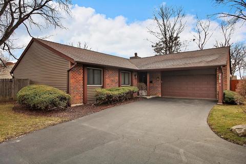 711 E Devon Ave, Roselle, IL 60172 photo 1