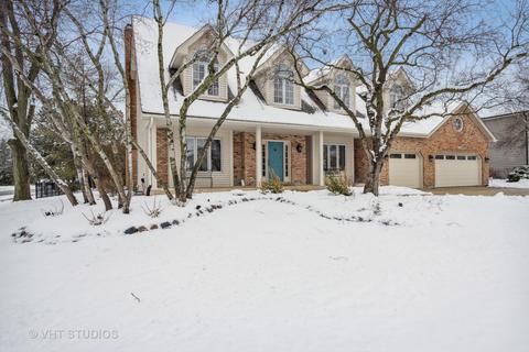 4023 White Eagle Dr, Naperville, IL 60564 photo 1