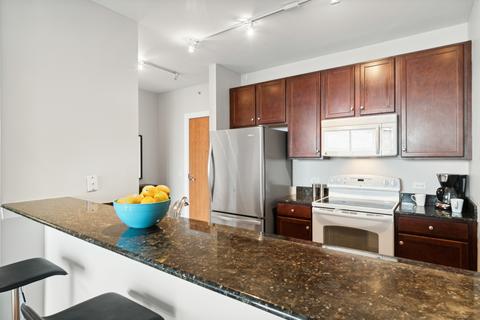 100 E 14th St #2908, Chicago, IL 60605 photo 9