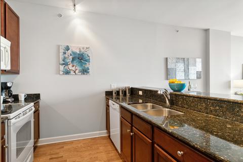 100 E 14th St #2908, Chicago, IL 60605 photo 10