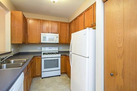 1053 Clover Dr, Minooka, IL 60447 photo 8