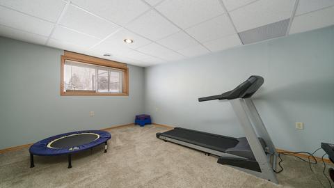 108 Miller Ct, Davis, IL 61019 photo 24