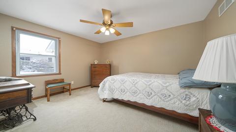 108 Miller Ct, Davis, IL 61019 photo 14