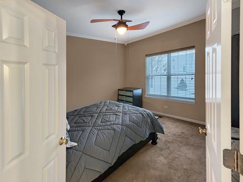 26405 W Red Apple Rd, Plainfield, IL 60585 photo 19