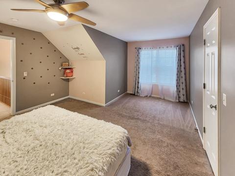26405 W Red Apple Rd, Plainfield, IL 60585 photo 16