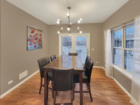 26405 W Red Apple Rd, Plainfield, IL 60585 photo 9