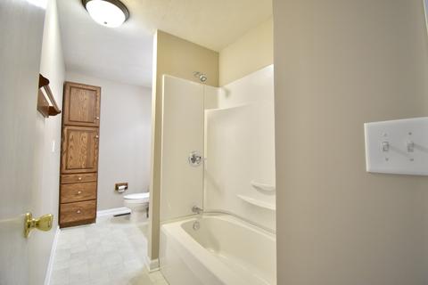 210 E Hamilton St, Odell, IL 60460 photo 25