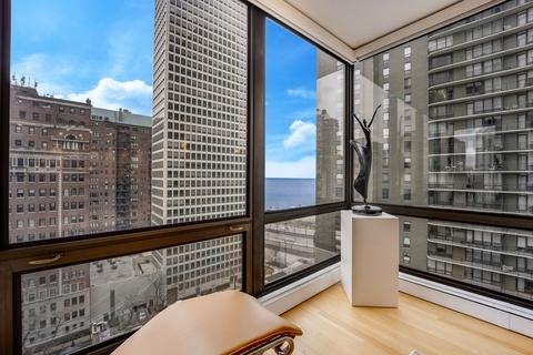 100 E Bellevue Pl #14A, Chicago, IL 60611 photo 5