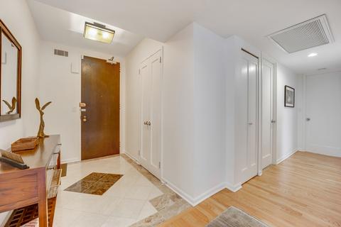 100 E Bellevue Pl #14A, Chicago, IL 60611 photo 20
