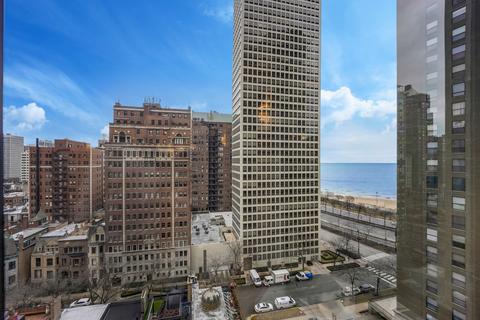 100 E Bellevue Pl #14A, Chicago, IL 60611 photo 6
