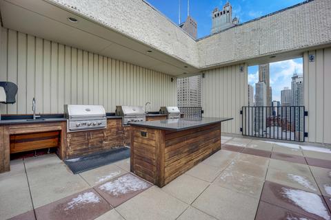 100 E Bellevue Pl #14A, Chicago, IL 60611 photo 29