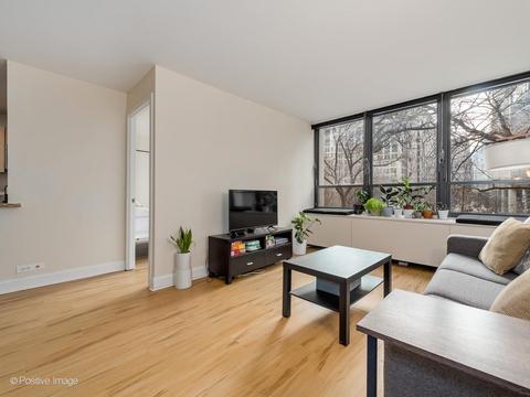222 E Pearson St #304, Chicago, IL 60611 photo 4