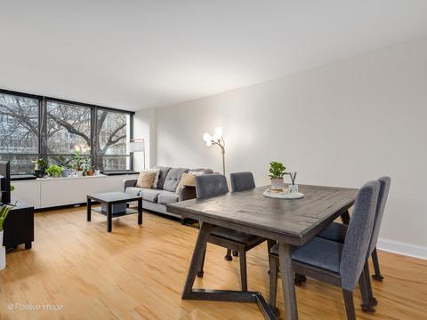 222 E Pearson St #304, Chicago, IL 60611 photo 5