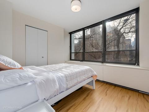 222 E Pearson St #304, Chicago, IL 60611 photo 14