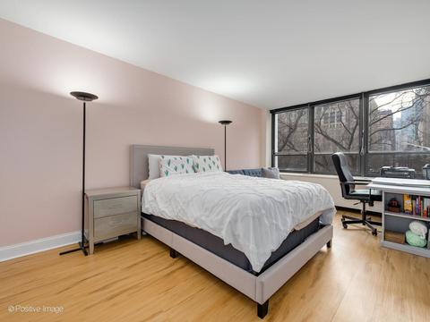 222 E Pearson St #304, Chicago, IL 60611 photo 12
