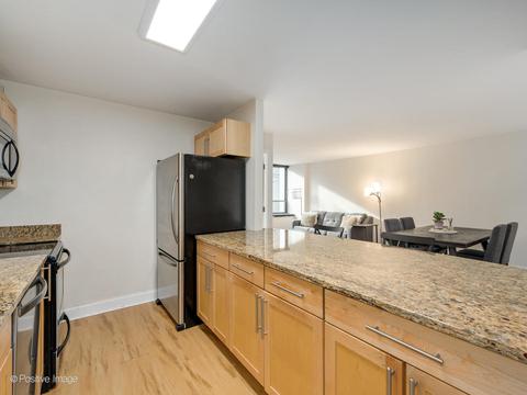 222 E Pearson St #304, Chicago, IL 60611 photo 10
