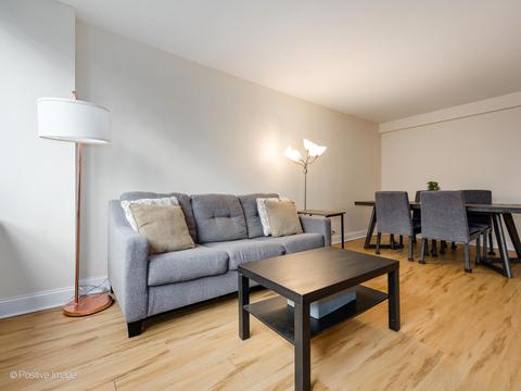 222 E Pearson St #304, Chicago, IL 60611 photo 7
