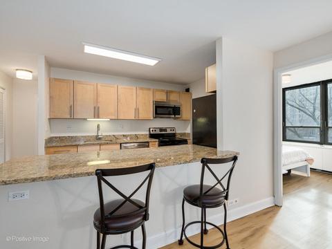 222 E Pearson St #304, Chicago, IL 60611 photo 9