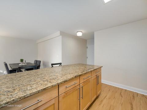 222 E Pearson St #304, Chicago, IL 60611 photo 11
