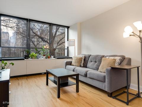 222 E Pearson St #304, Chicago, IL 60611 photo 6