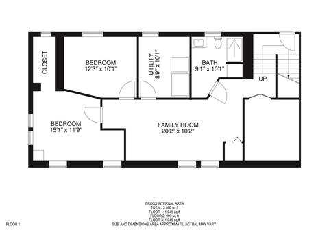 3207 Maple Ave, Brookfield, IL 60513 photo 33