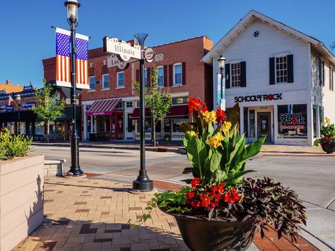 16128 S Longcommon Ln, Plainfield, IL 60586 photo 17