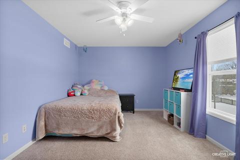215 Arrowhead Dr, Minooka, IL 60447 photo 16