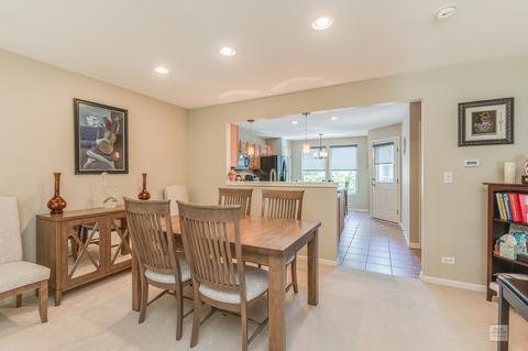 471 Conservatory Ln, Aurora, IL 60502 photo 8