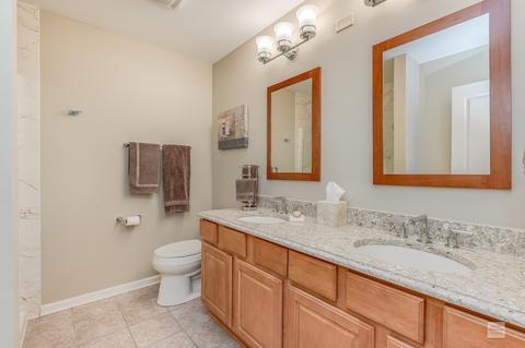 471 Conservatory Ln, Aurora, IL 60502 photo 17