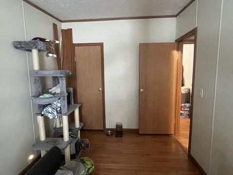 215 Silver St, Oakland, IL 61943 photo 14