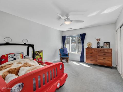 3205 Mulberry Ln, Oak Brook, IL 60523 photo 32