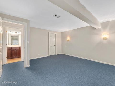 3205 Mulberry Ln, Oak Brook, IL 60523 photo 46