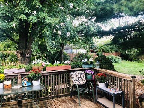7260 Stickney Ave, Bridgeview, IL 60455 photo 29