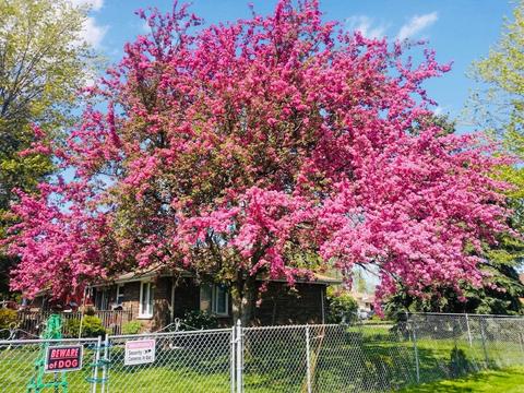 7260 Stickney Ave, Bridgeview, IL 60455 photo 7