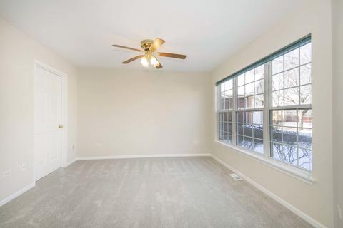 13341 Red Cedar Ln, Plainfield, IL 60544 photo 16