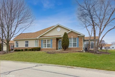 21300 W Conifer Dr, Plainfield, IL 60544 photo 1