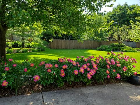 2019 Cromwell Dr, Wheaton, IL 60189 photo 41