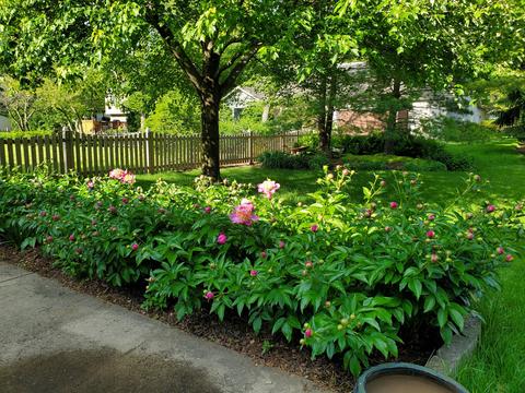 2019 Cromwell Dr, Wheaton, IL 60189 photo 40