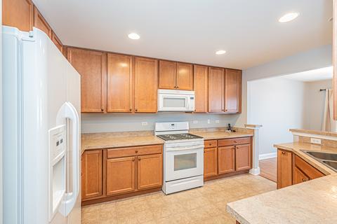 858 Voyage Way, Elgin, IL 60124 photo 15
