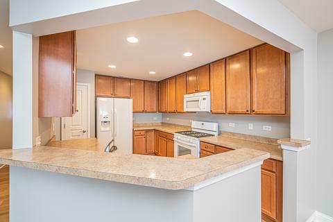 858 Voyage Way, Elgin, IL 60124 photo 19