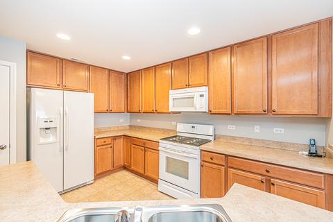 858 Voyage Way, Elgin, IL 60124 photo 20